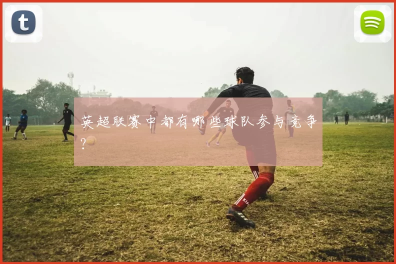 英超联赛中都有哪些球队参与竞争？