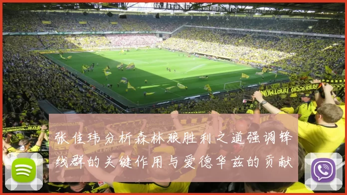 张佳玮分析森林狼胜利之道强调锋线群的关键作用与爱德华兹的贡献