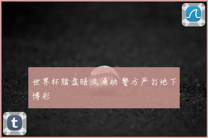 世界杯赌盘暗流涌动 警方严打地下博彩