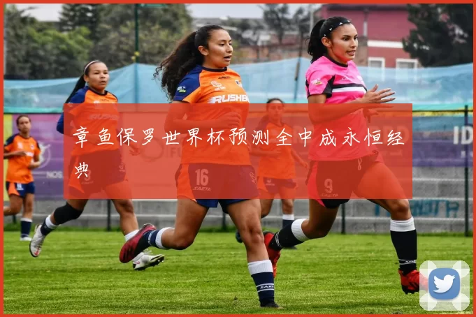 章鱼保罗世界杯预测全中成永恒经典