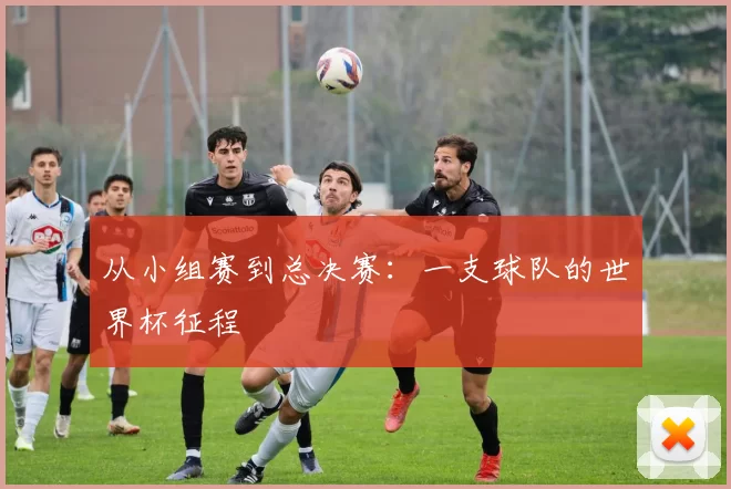 从小组赛到总决赛：一支球队的世界杯征程