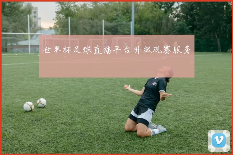 世界杯足球直播平台升级观赛服务
