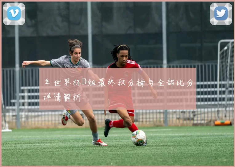 年世界杯D组最终积分榜与全部比分详情解析