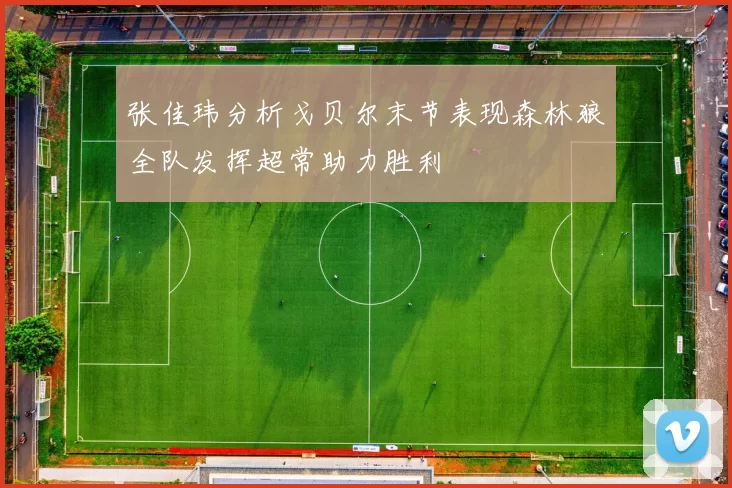 张佳玮分析戈贝尔末节表现森林狼全队发挥超常助力胜利