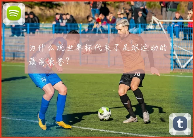 为什么说世界杯代表了足球运动的最高荣誉？