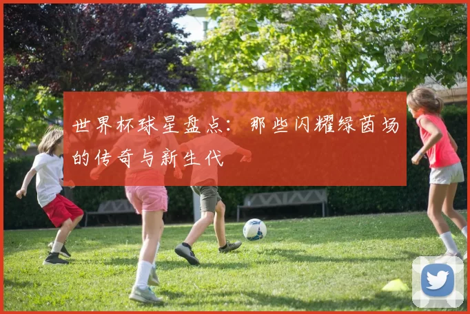 世界杯球星盘点:那些闪耀绿茵场的传奇与新生代