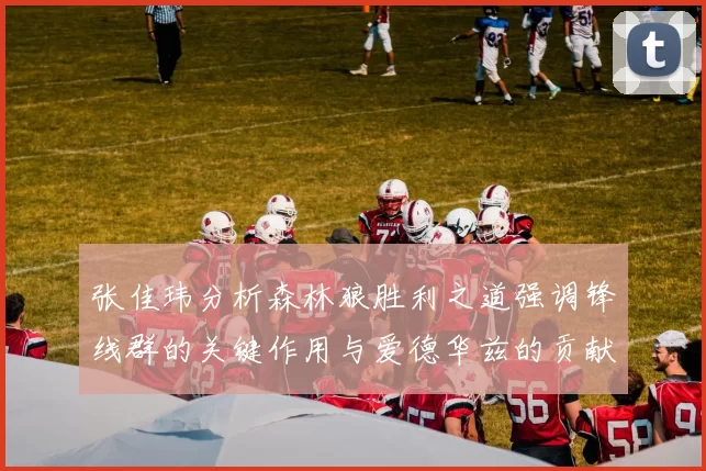 张佳玮分析森林狼胜利之道强调锋线群的关键作用与爱德华兹的贡献