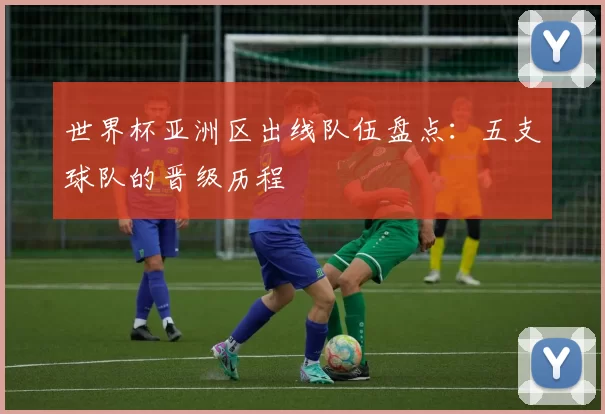 世界杯亚洲区出线队伍盘点:五支球队的晋级历程
