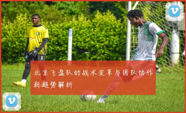 北京飞盘队的战术变革与团队协作新趋势解析