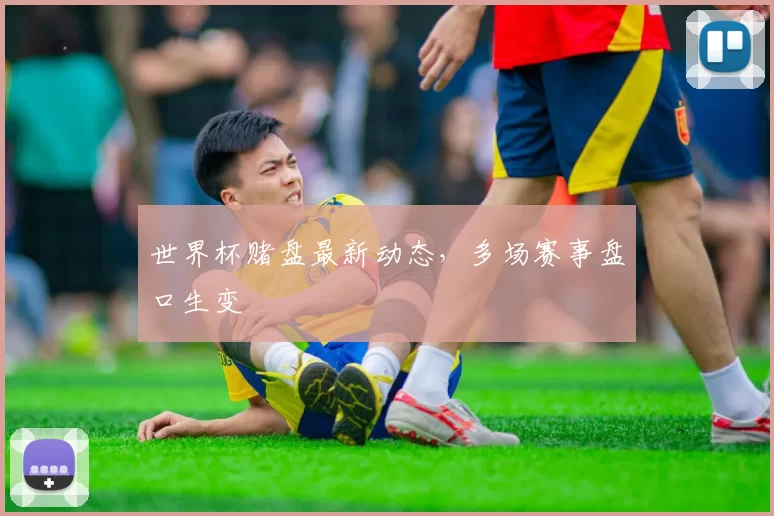 世界杯赌盘最新动态，多场赛事盘口生变