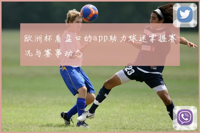 欧洲杯看盘口的app助力球迷掌握赛况与赛事动态