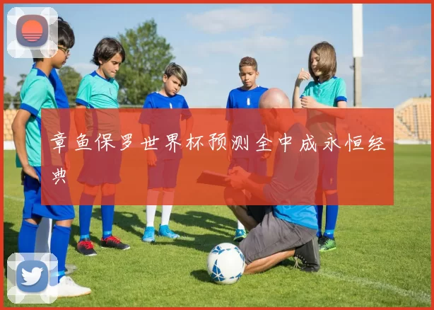 章鱼保罗世界杯预测全中成永恒经典