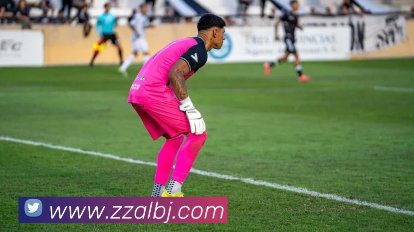 爱游戏体育平台生态图