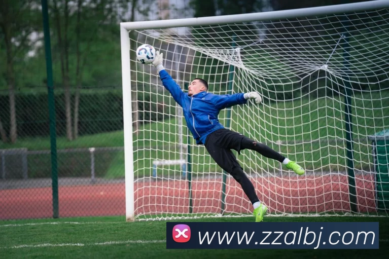 爱游戏体育全站App